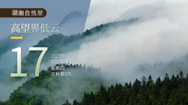 湖湘自然历｜气象万千⑰云很低，伸手可及