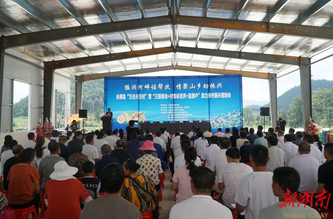 永顺县举行“万企兴万村”暨“三级联动+村集体经济+监测户”助力乡村振兴现场会
