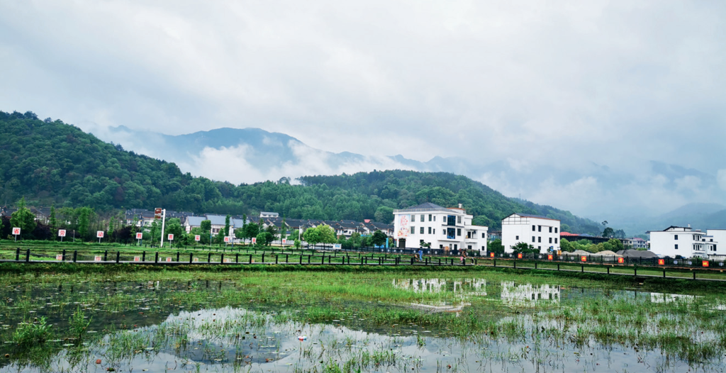 邵阳:高质量书写易地搬迁“后半篇”文章_邵阳头条网