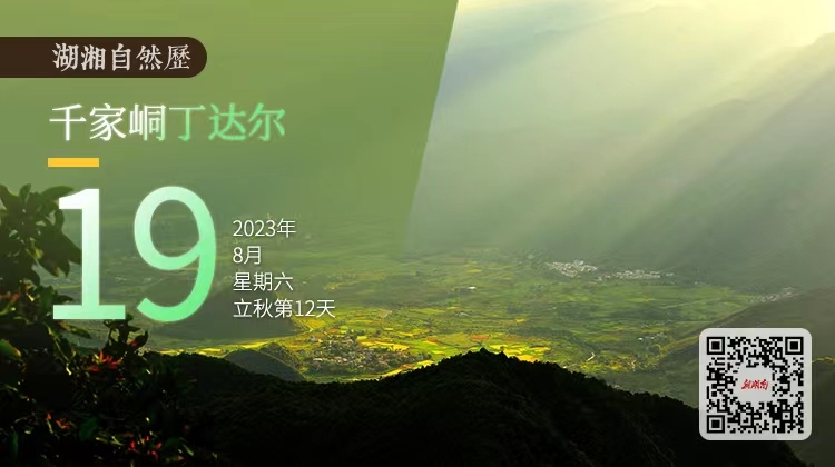 湖湘自然历丨气象万千⑲七夕，带TA去江永看最美的丁达尔现象