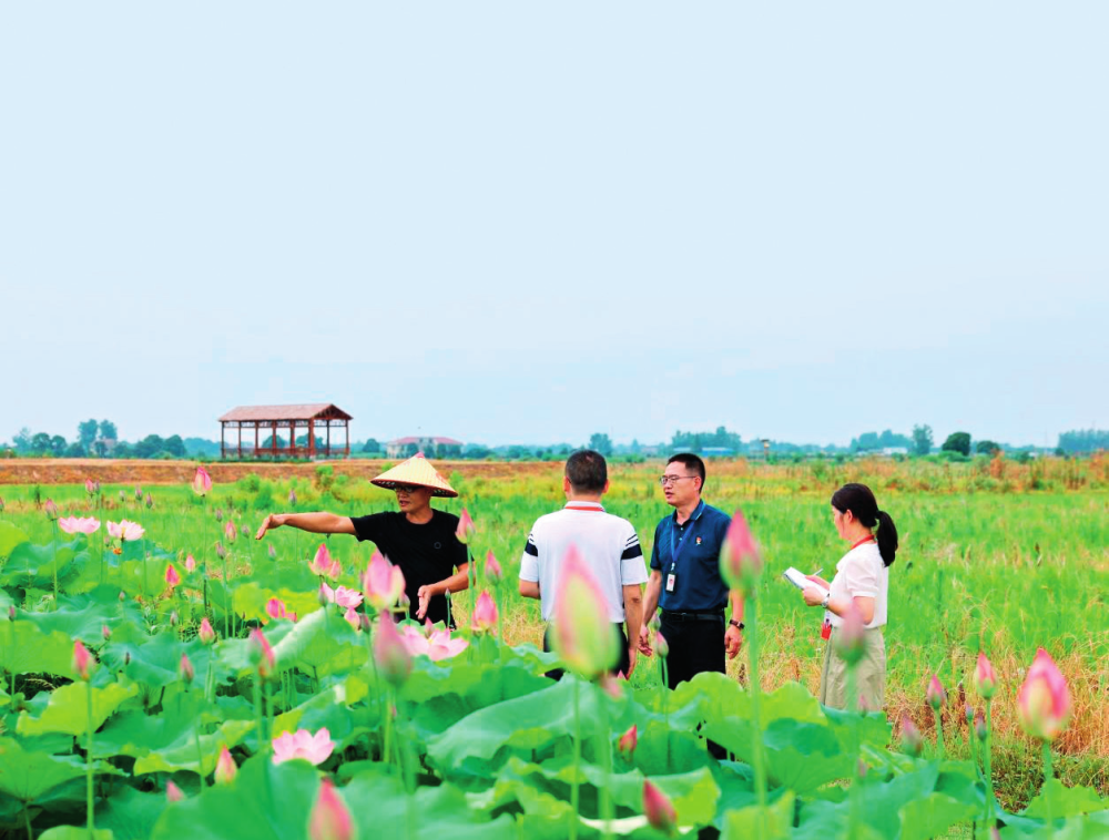 瞭望丨湖南“干”字当头促担当_邵阳头条网