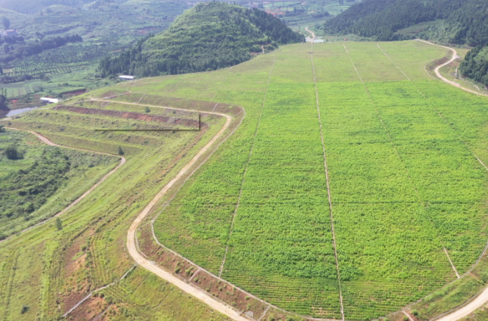 陈华在花垣县调研时强调：锚定目标 加压奋进 全力推进“锰三角”矿业污染综合整治