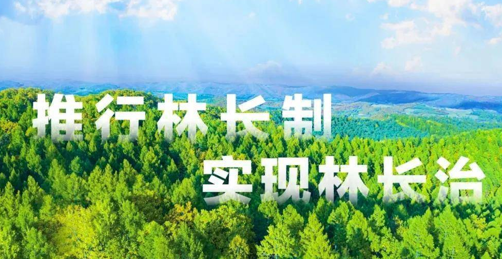 每一片林草都有专属守护者——湖南林长制从“全面建立”向“全面见效”转变