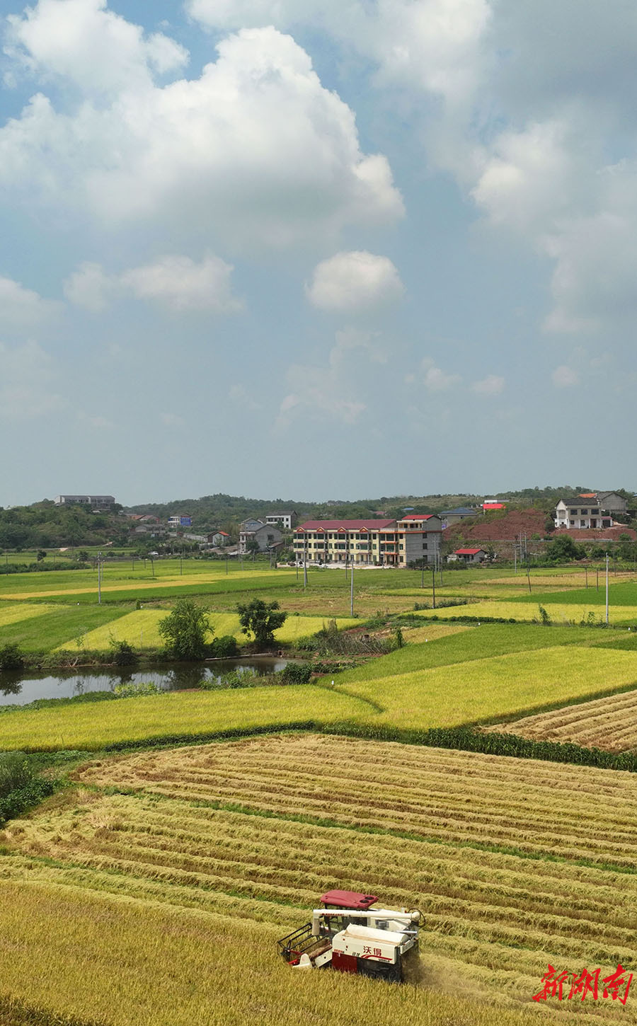 杨市镇七甲村图片