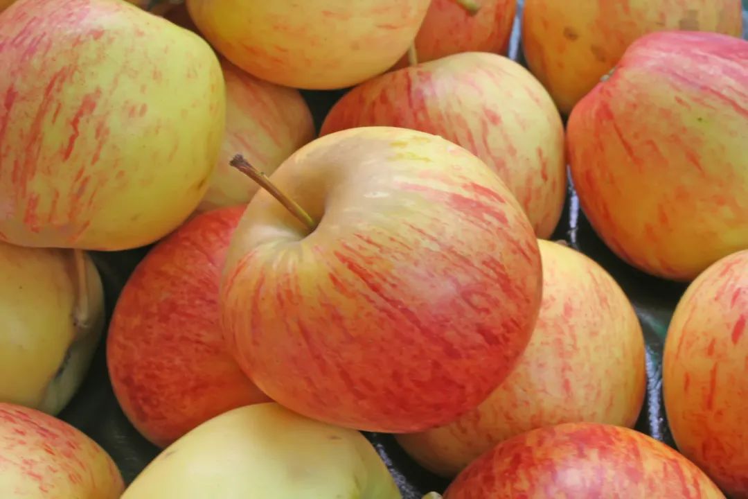 水果表面的白霜不用洗，它的好处你可能不知道