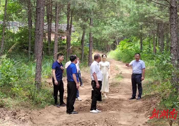 程铁伶到桥头林场调研森林防火并巡林