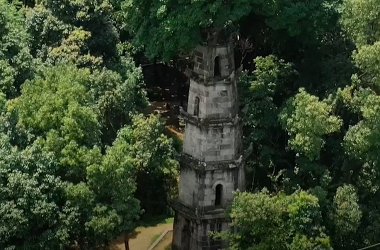 塔树相依，矗立百年|长沙惜字塔（The Tower and Tree Stand Together for A Hundred Years| Changsha Xizi Tower）