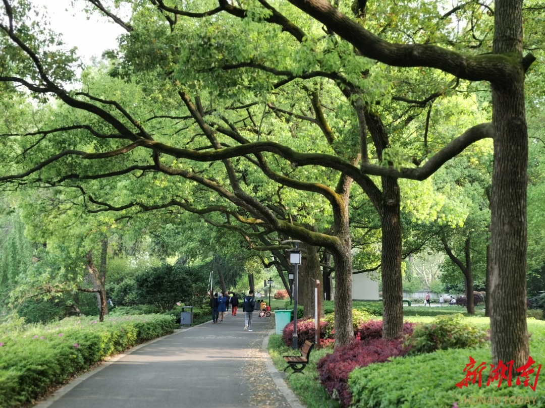 城管局局长谢建平介绍,今年初,该市开放首批城市公园绿地共享试点区域