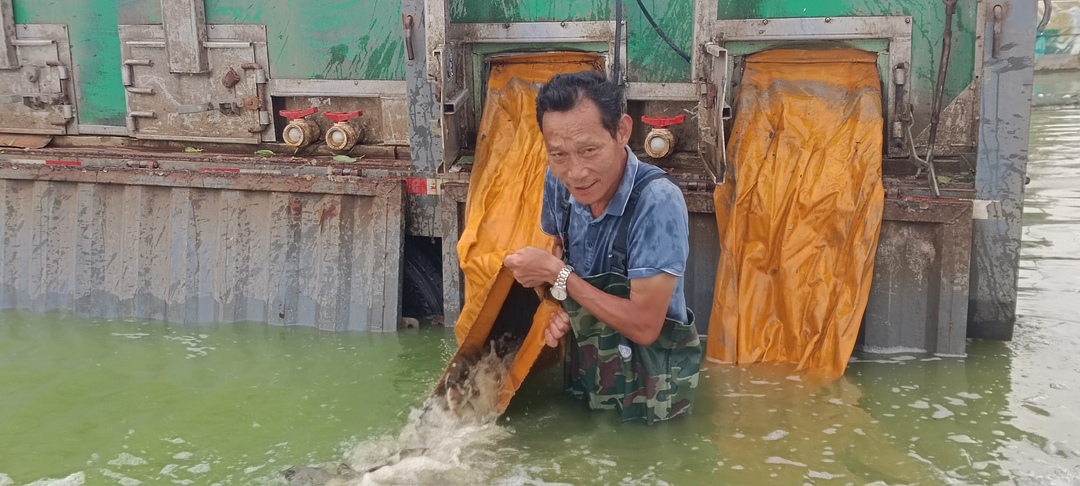 君山区：秋天鱼苗投放 推动生态渔业发展