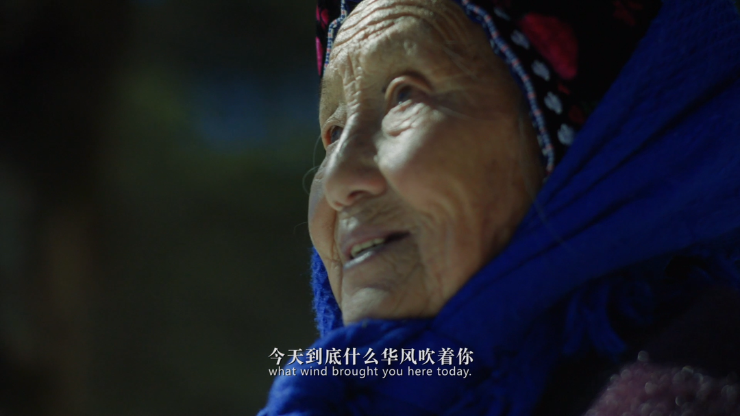 《一掌雪》