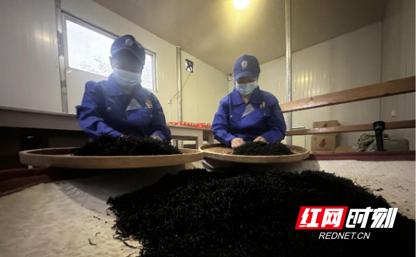 阔别大山奔小康——城步扎实推进易地扶贫搬迁后续扶持工作纪实_邵阳头条网