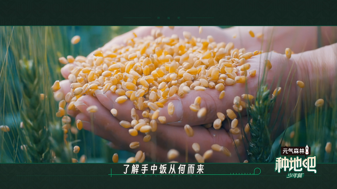 《种地吧》