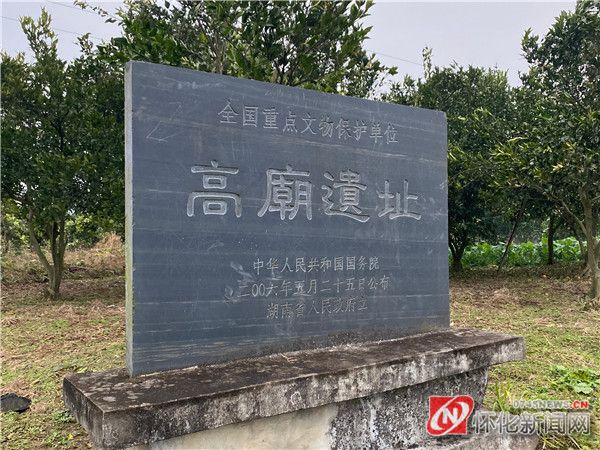 懷化問“稻”——稻源篇