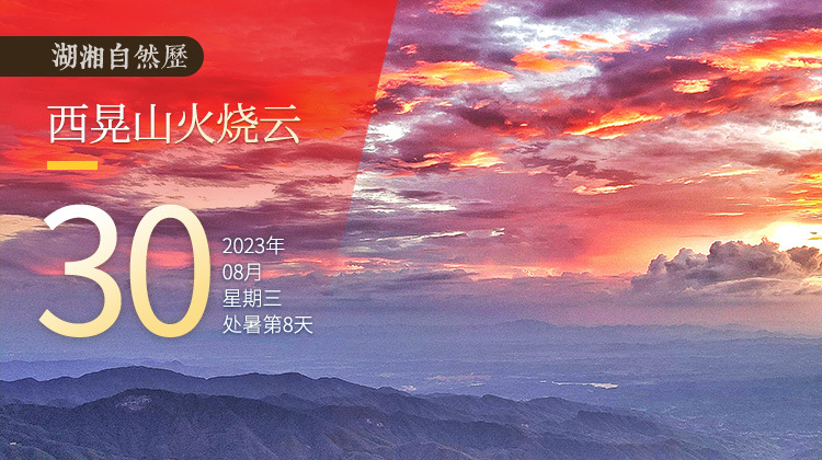 湖湘自然历｜气象万千㉚日落西山红霞飞，谁和你双双把家归？