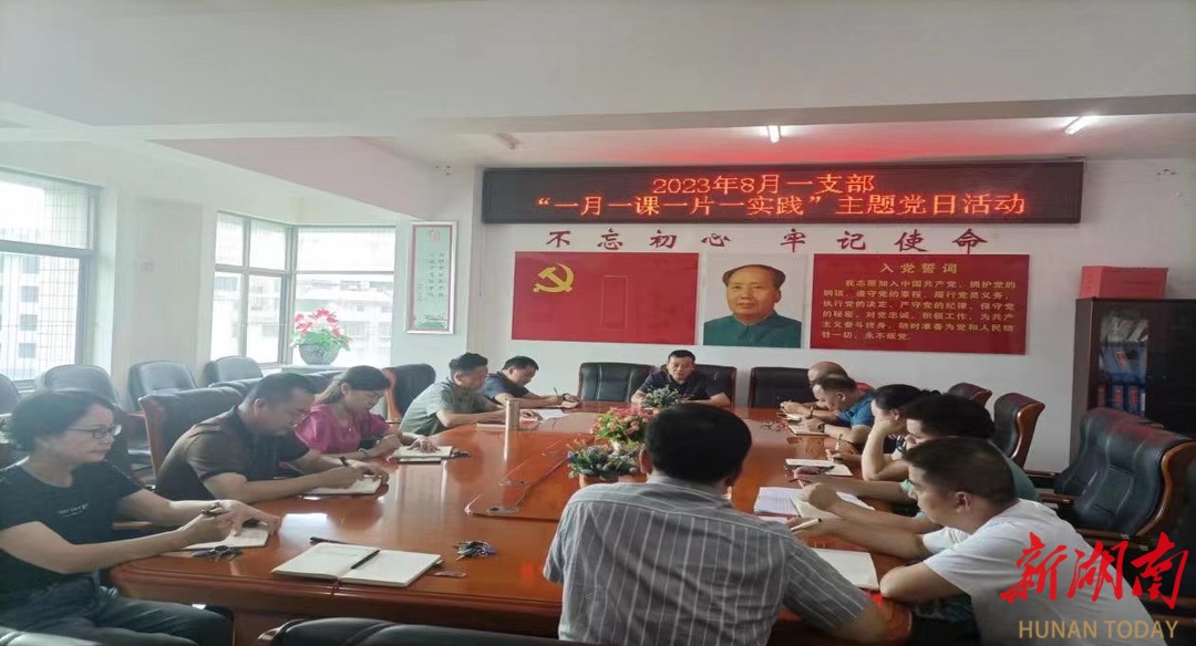 绥宁县人社局:主题党日忆初心 志愿服务永不停_邵阳头条网