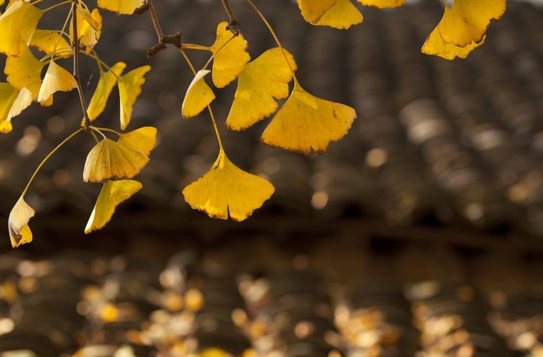 “医”图读懂｜入秋易感冒？方法请收好