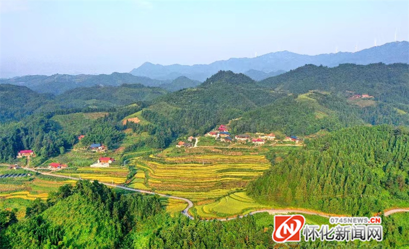 懷化問“稻” ——稻景篇