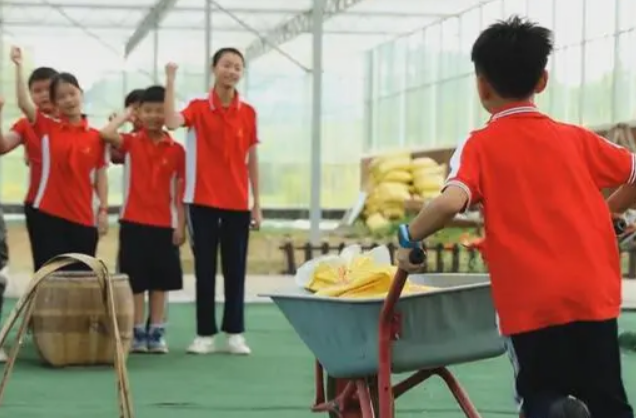 “游而不学、空手而归”？火爆的研学游亟待规范