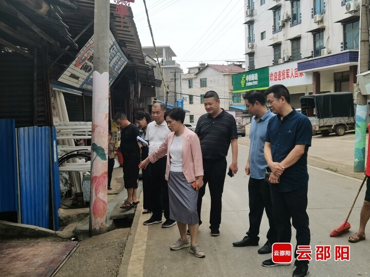 罗玉梅率队到大祥区蔡锷乡督导全国文明城市创建工作_邵阳头条网