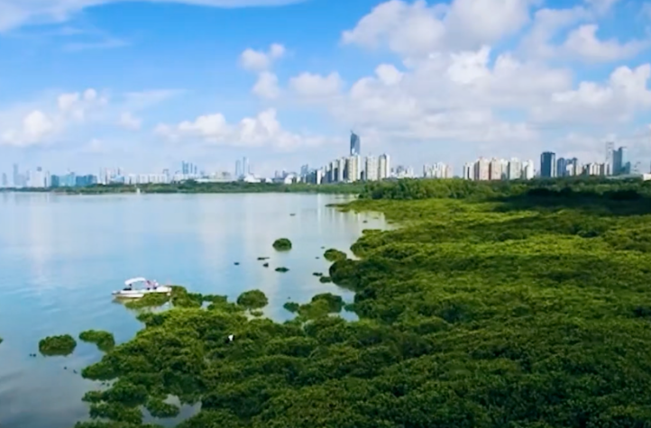 《湿地公约》批准在中国设立国际红树林中心