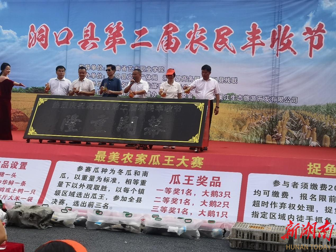 洞口县举办第二届农民丰收节_邵阳头条网