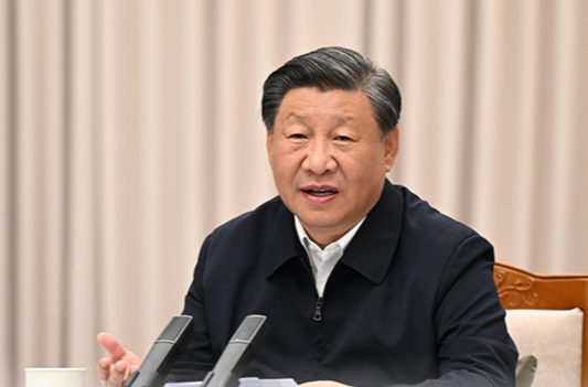 热解读丨重要座谈会上，总书记这句话意味深长