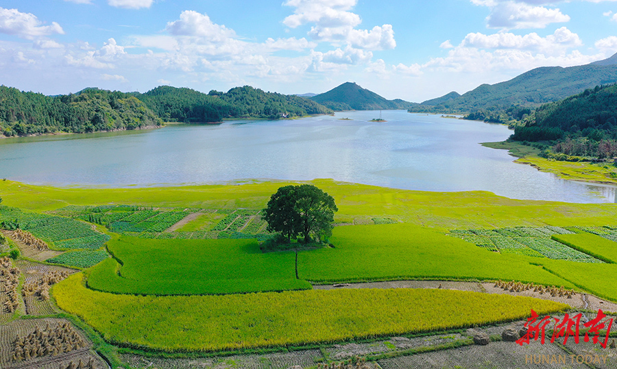 生态水库美如画