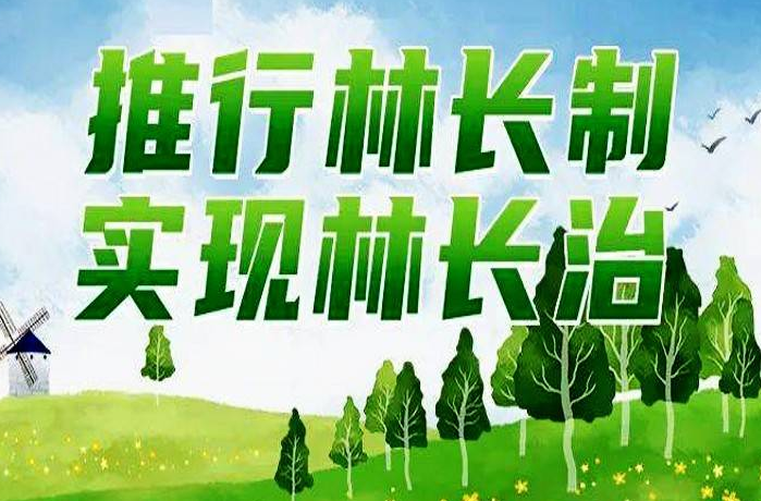 安化县林业局指导乡镇林长办标准化建设