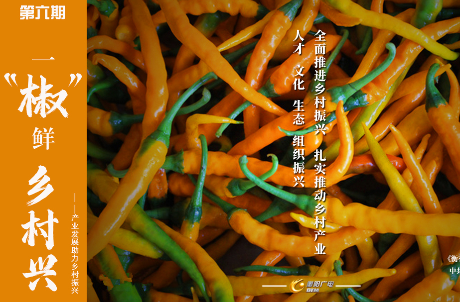 《衡有道理》⑥一“椒”鲜 乡村兴——产业发展助力乡村振兴