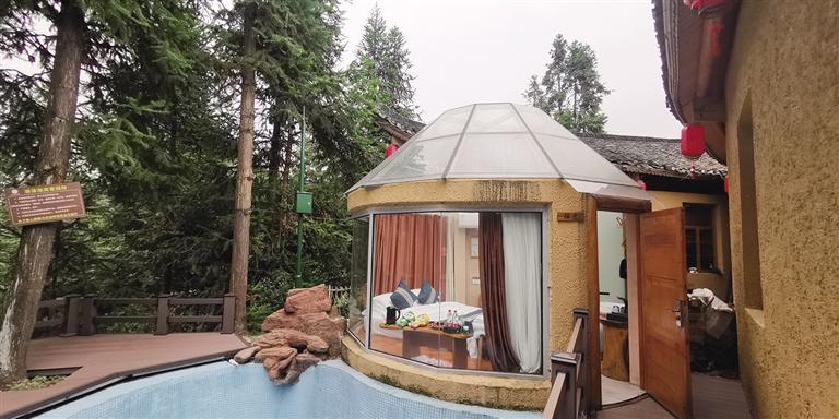 保靖茶庐: 坐饮香茶爱此山 田华