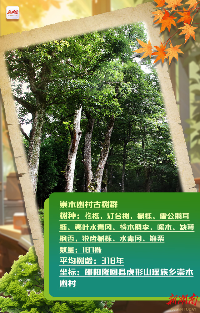 山上美树 4c06ea404aea7f6ff5225dbba4bb6ba44884198c1696502033654.jpeg?pid=7584147