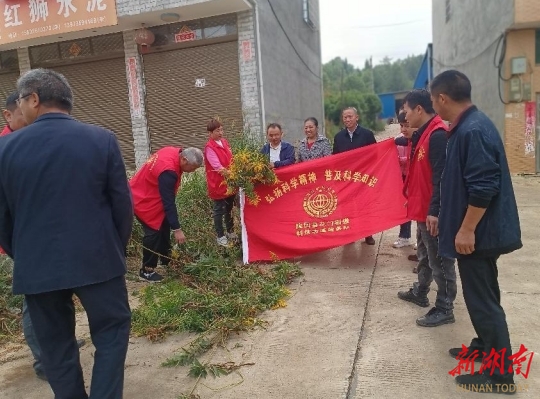 隆回花门街道科技志愿服务队开展“加拿大一枝黄花”防除活动_邵阳头条网