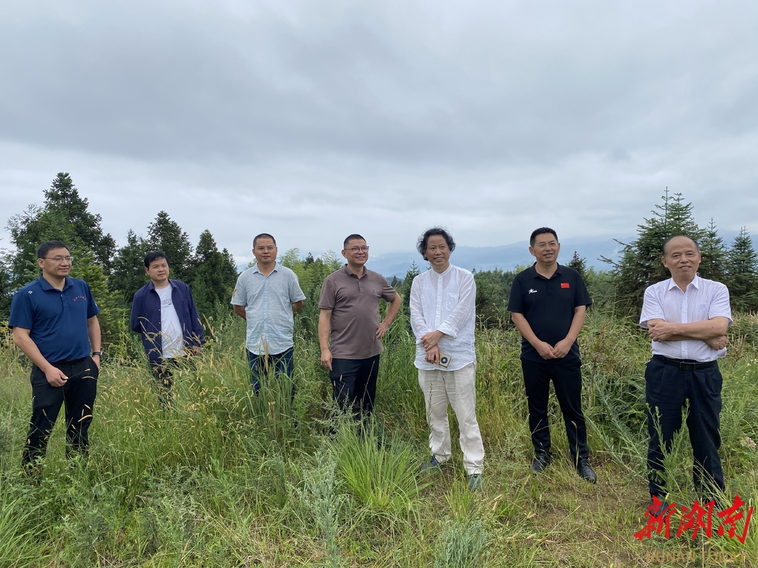 “湖湘楹联七子”吟唱“楹联版”《早安隆回》_邵阳头条网