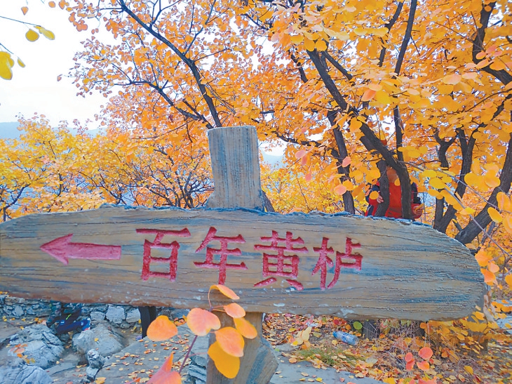 在北京登高赏红，除了香山，还有哪些好去处？