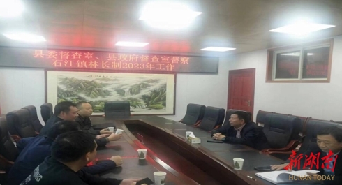 洞口县开展林长制专项督查_邵阳头条网