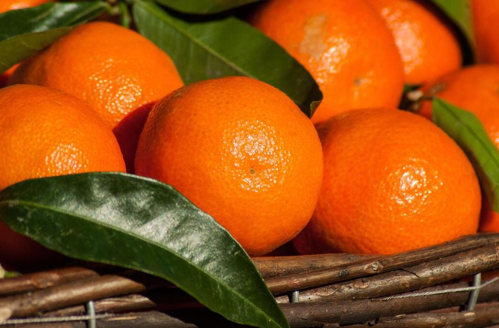 “医”图读懂｜吃多了会上火，但它真的“浑身是宝”啊……