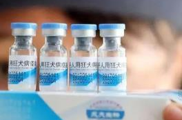 被打过疫苗的猫狗咬伤，还要再接种狂犬疫苗吗？专家解答