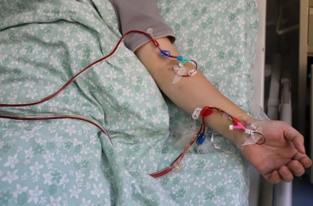 以爱相“髓” 为生命“续航”：湖南医生为远方患者捐献造血干细胞