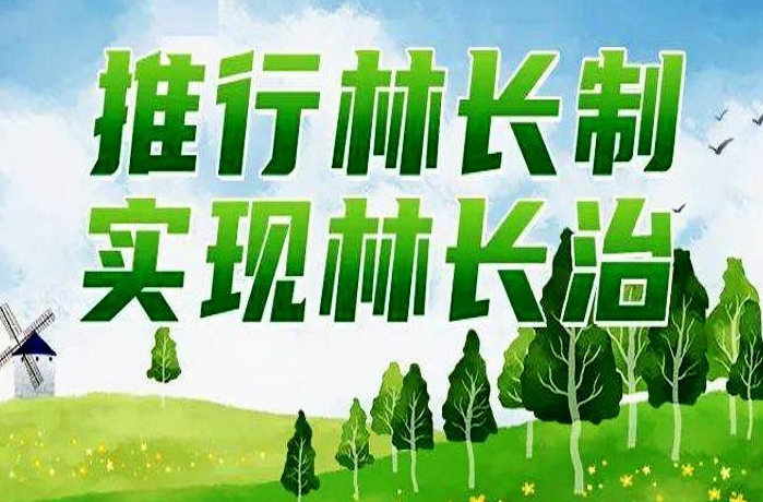 建立台账逐项整改！湘阴：林长制“靶向发力”推动“林长治”