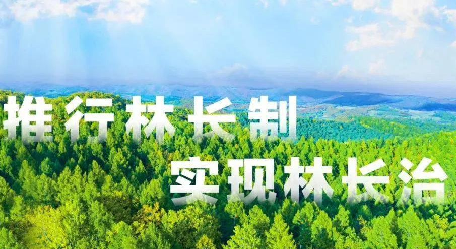 娄底市开展县市区林长制督查督导工作