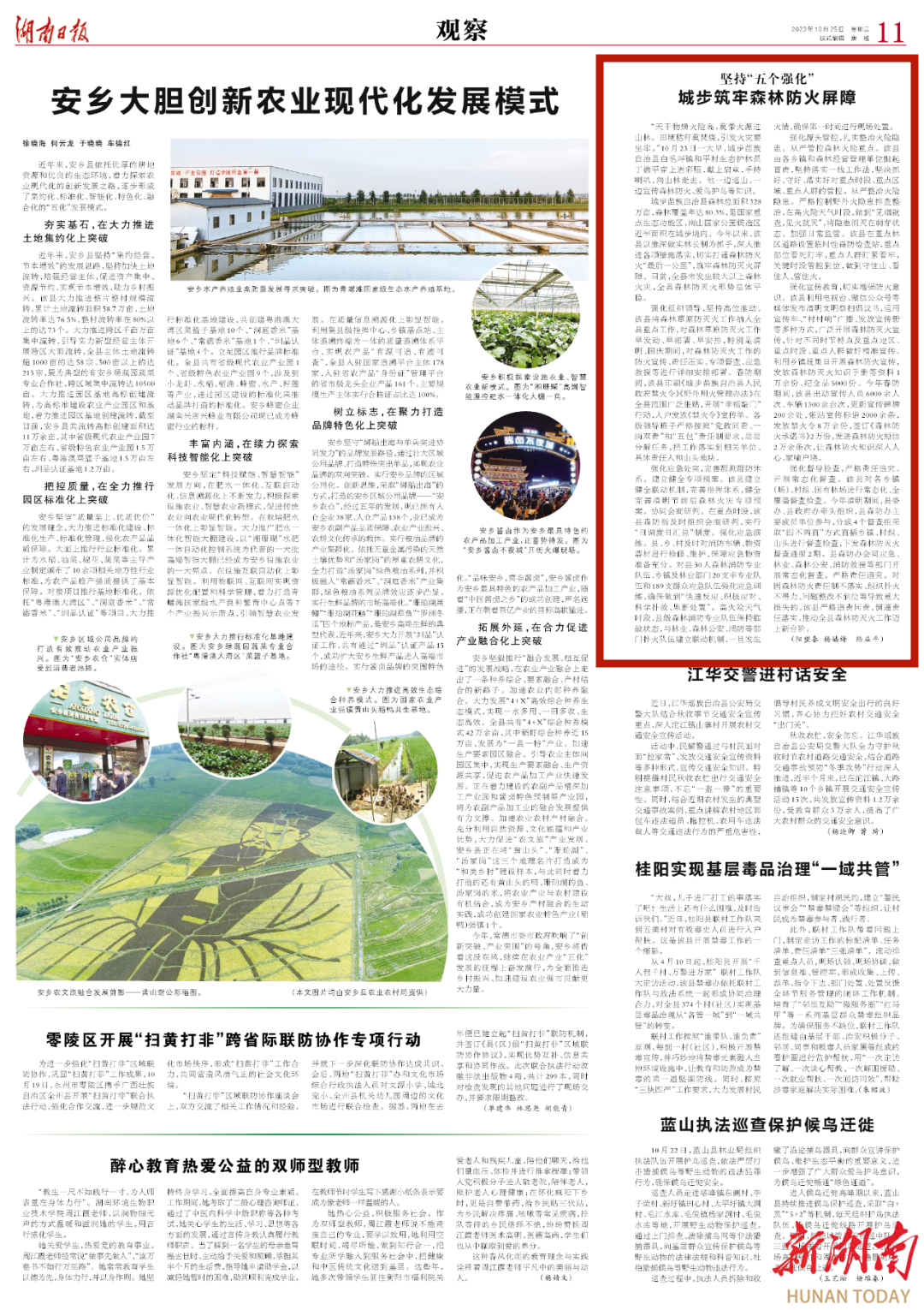 坚持“五个强化” 城步筑牢森林防火屏障_邵阳头条网