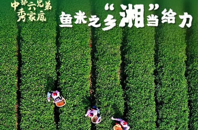 中部六省党报联动推出重磅报道 展示中部农业农村新气象