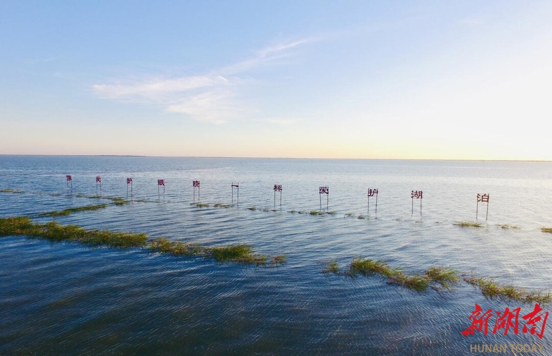 蟹逅洞庭之心这个周末大通湖半程马拉松来了