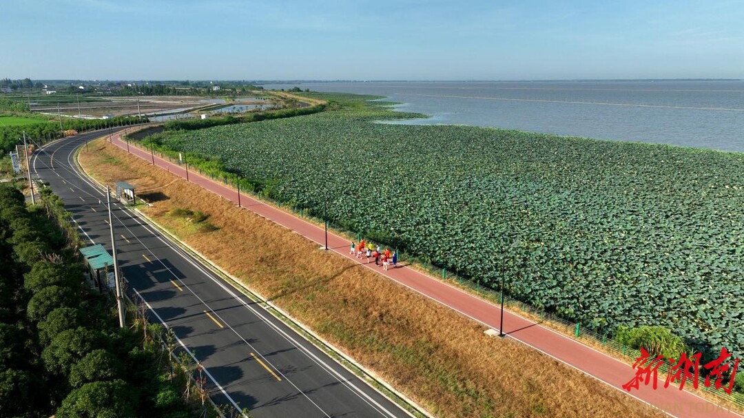 “蟹”逅洞庭之心！这个周末，大通湖半程马拉松来了