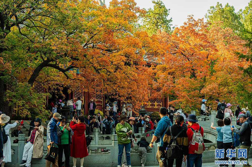 北京香山公园游玩图片