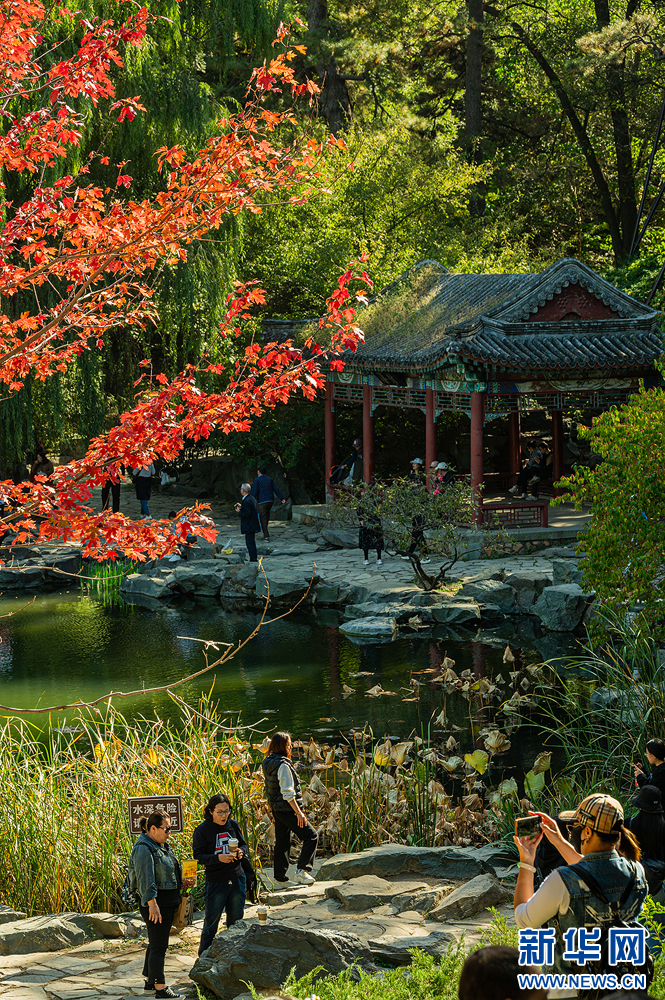 北京香山公园游玩图片