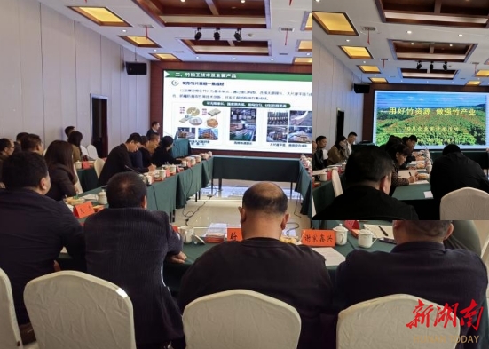 绥宁产业开发区开展“用好竹资源 做强竹产业”企业家沙龙活动_邵阳头条网
