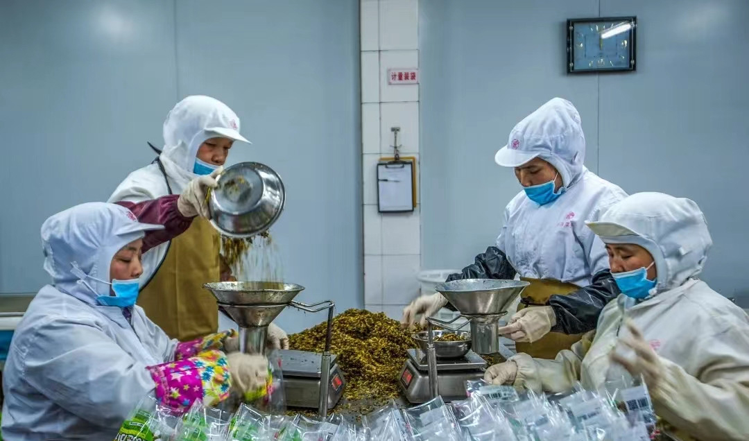 真抓实干看华容丨持续抓好产业转型升级 严防严控食品安全风险