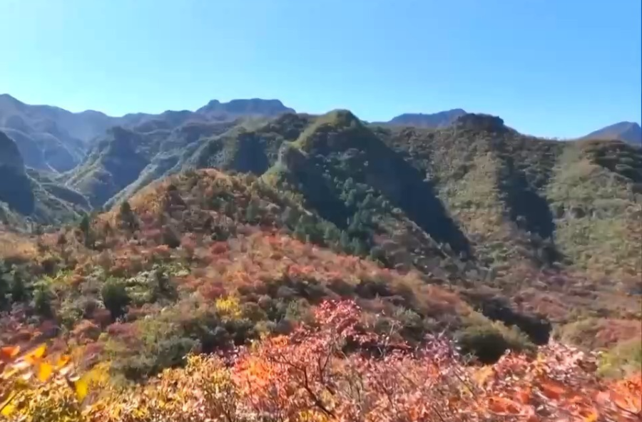 徒步登山火了！登山杖销售大增，户外运动成旅游新商机