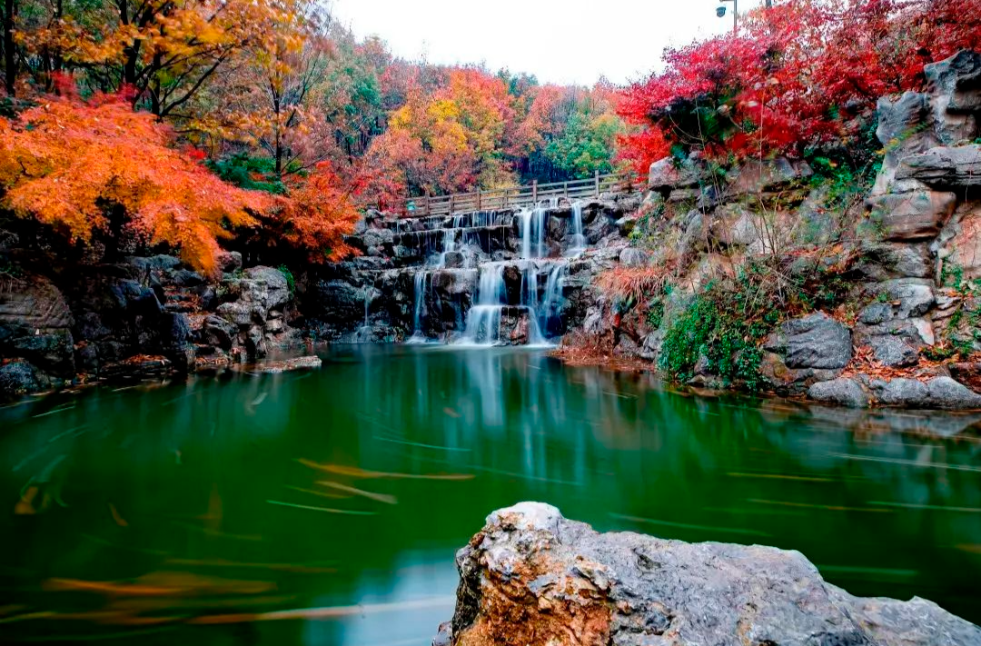 官宣！本月起，这些景区免门票